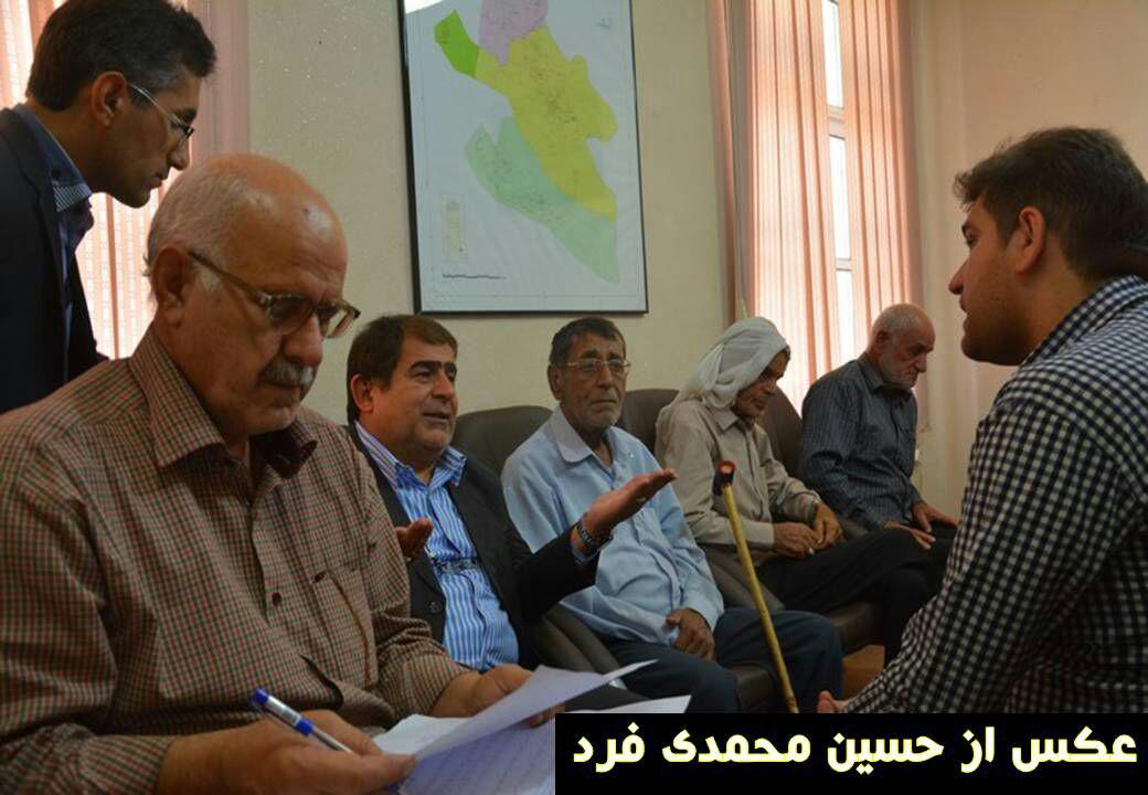 کشت زر زیدون 2