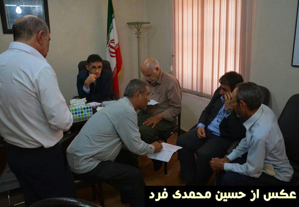 کشت زر زیدون 5